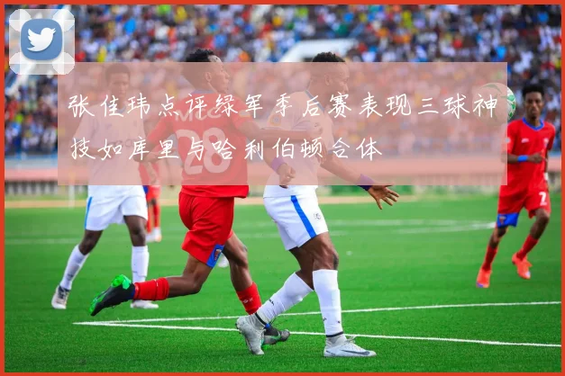 张佳玮点评绿军季后赛表现三球神技如库里与哈利伯顿合体